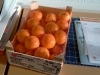 Mandarinen