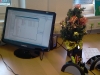 Weihnachtsbaum