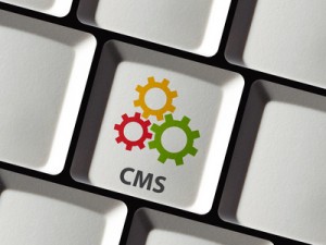 Computertaste mit Aufschrift "CMS"