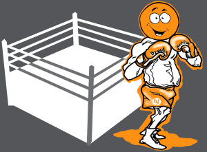 Ein Boxer vor einem Boxring
